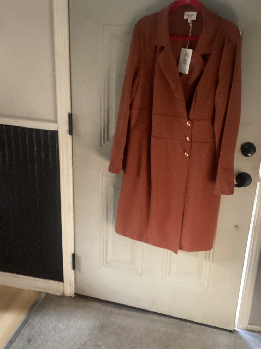 ANDREE BY UNIT Rust Trench Coat with Gold Buttons